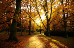 autumn_by_xlostfacex-d31mojq