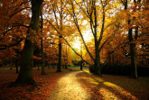 autumn_by_xlostfacex-d31mojq